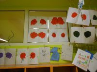 DSCN0904.jpg