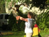 DSCN2718.jpg