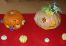 DSCN2868.jpg