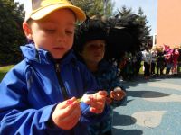 DSCN4329.jpg