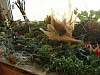 DSCN9079.JPG