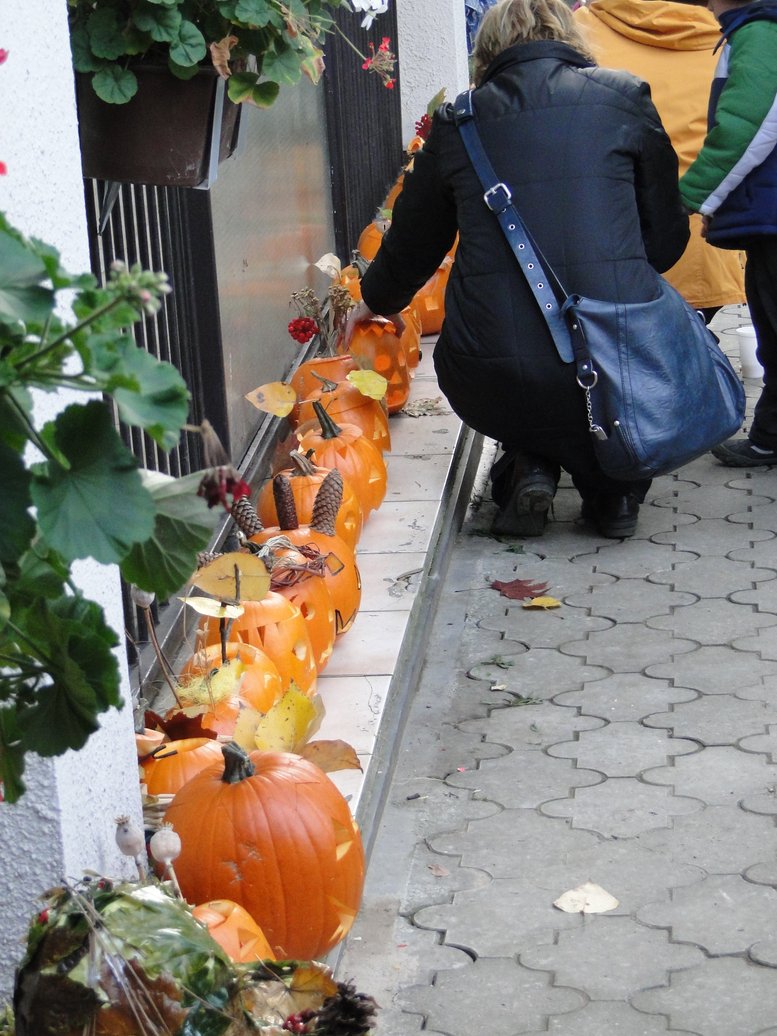 DSC02191.JPG