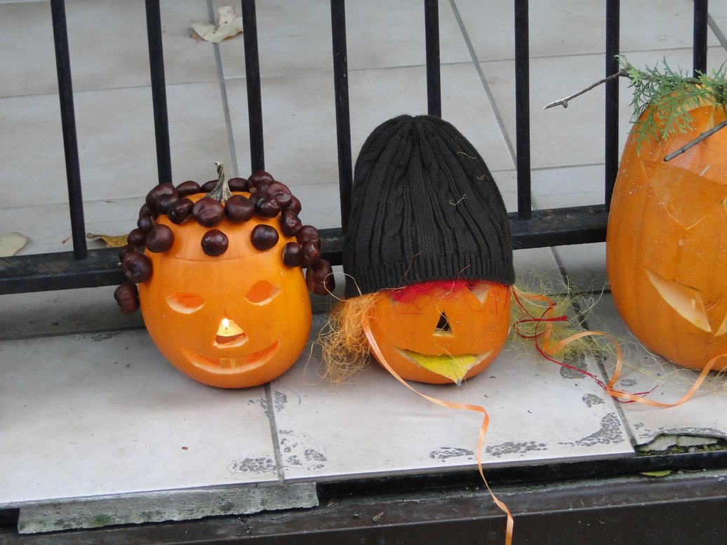 DSC02201.JPG