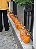 DSC02189.JPG