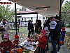DSC02230.JPG