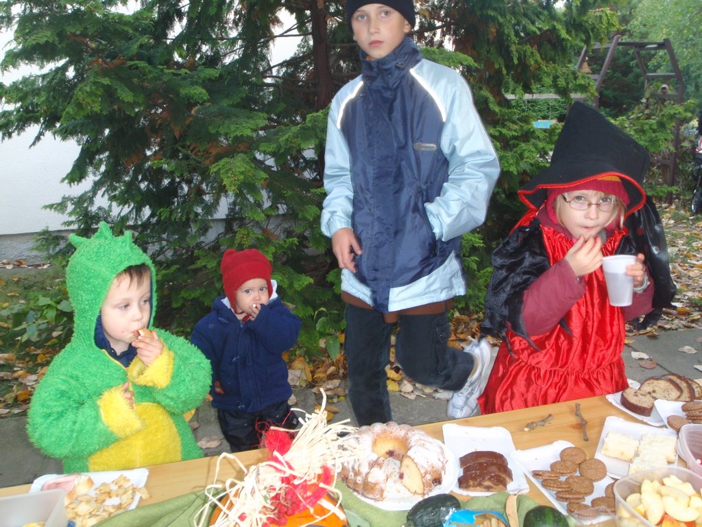 PA210026.JPG